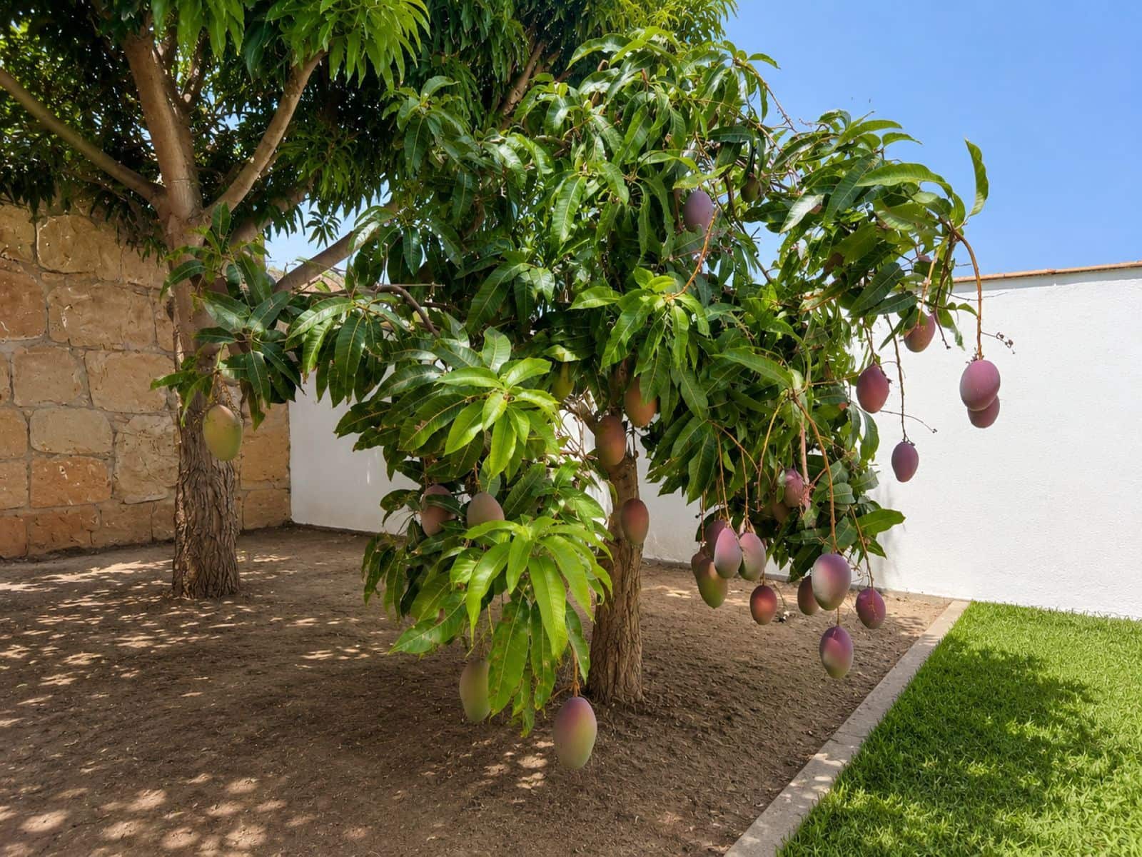 3 soveværelse Villa til salg i Estepona - € 1.300.000 (Ref: 10020636)