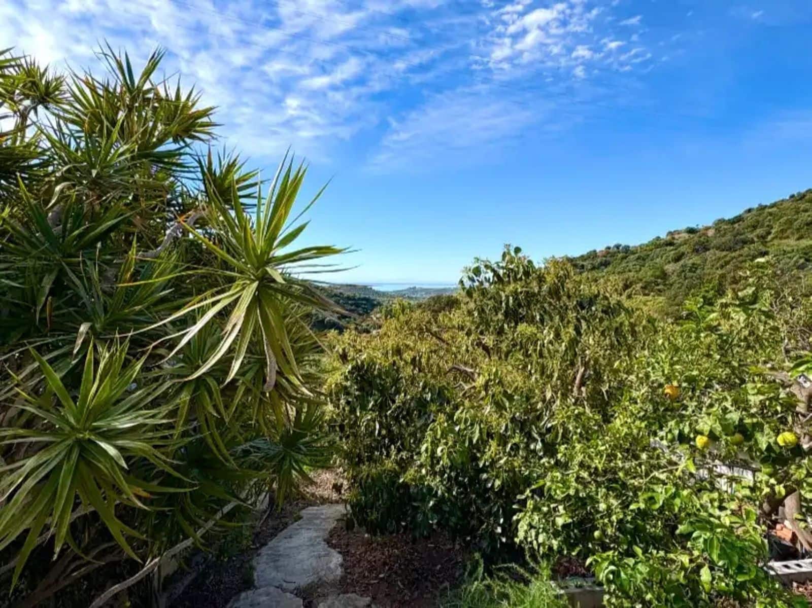 3 Zimmer Finca/Landgut zu verkaufen in Estepona - 519.000 € (Ref: 10020644)