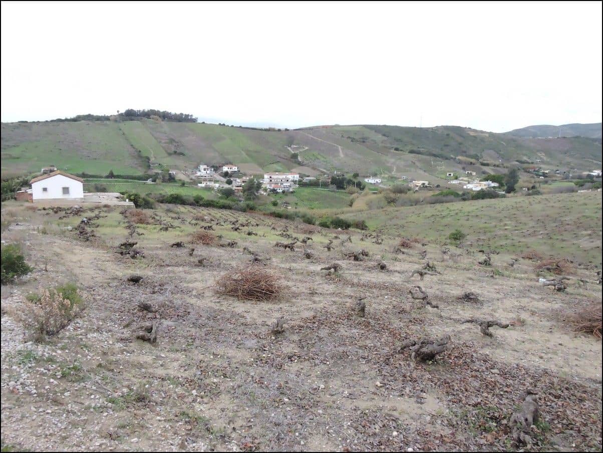 2 bedroom Finca/Country House for sale in Manilva - € 699,000 (Ref: 10020653)
