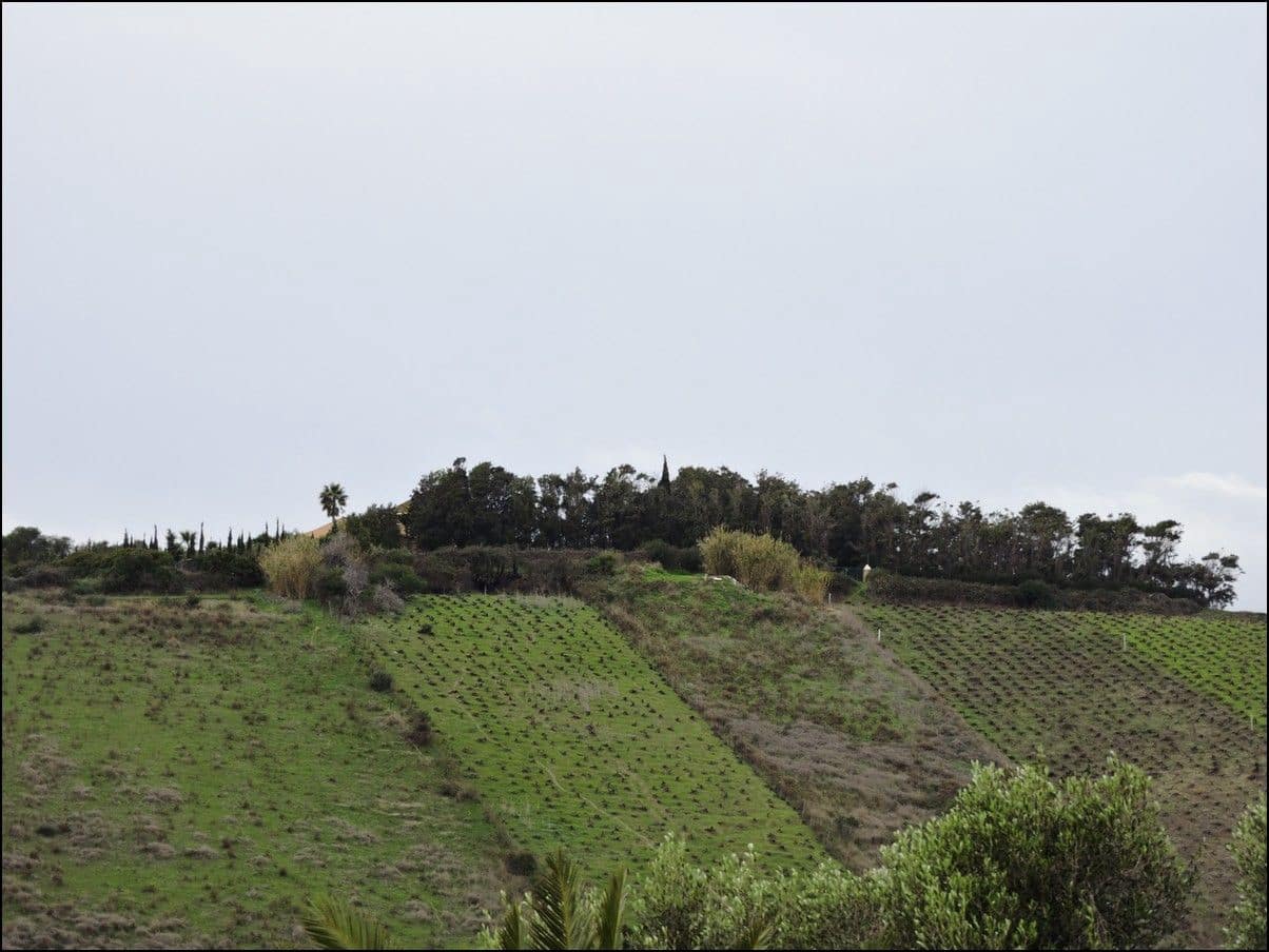2 bedroom Finca/Country House for sale in Manilva - € 699,000 (Ref: 10020653)