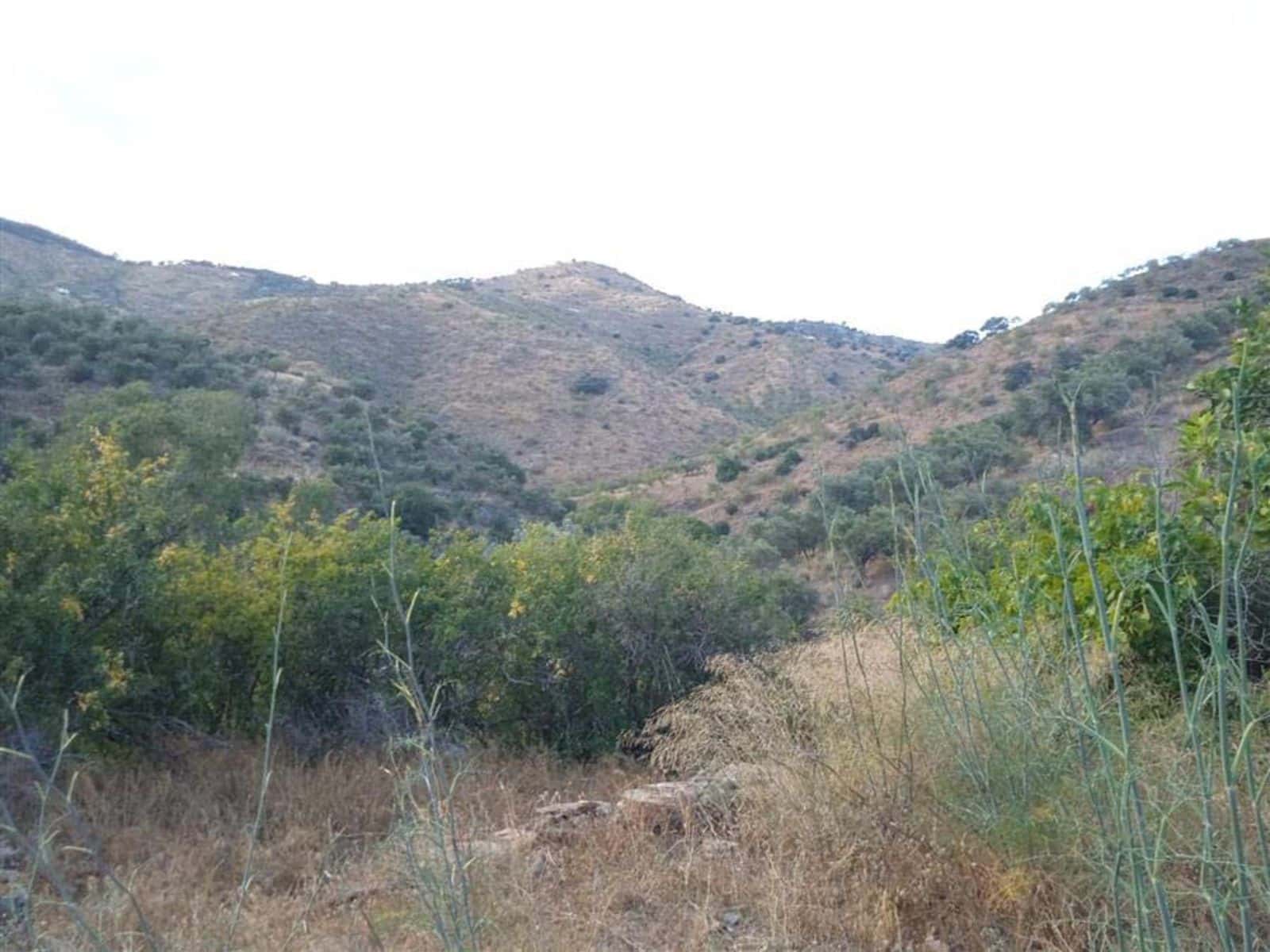 Mark till salu i Malaga stad - 850 000 € (Ref: 10097714)