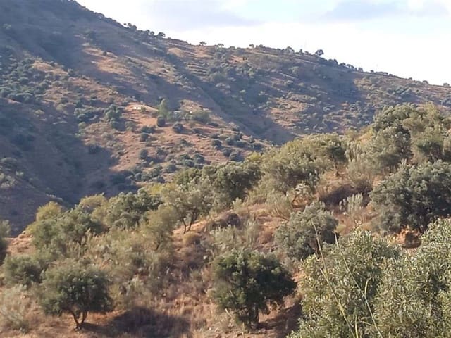 Mark till salu i Málaga stad - 850 000 € (Ref: 10097714)