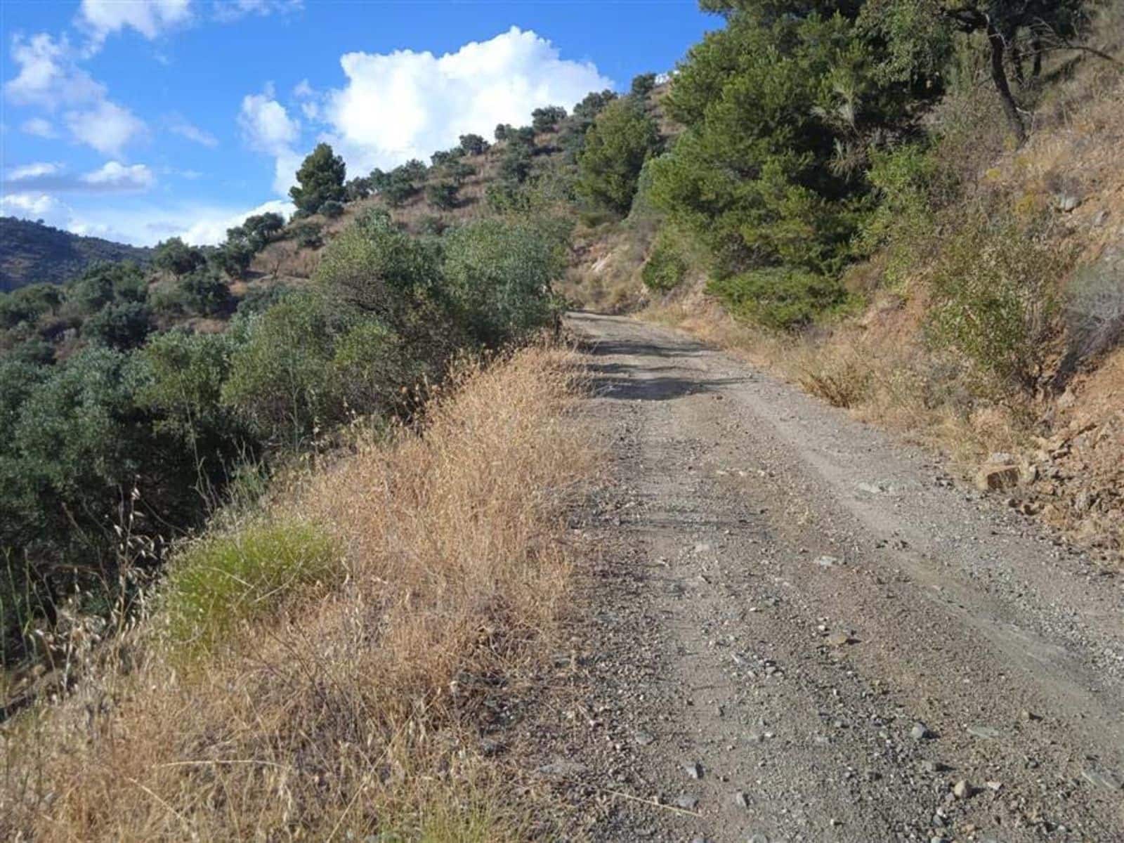 Mark till salu i Malaga stad - 850 000 € (Ref: 10097714)