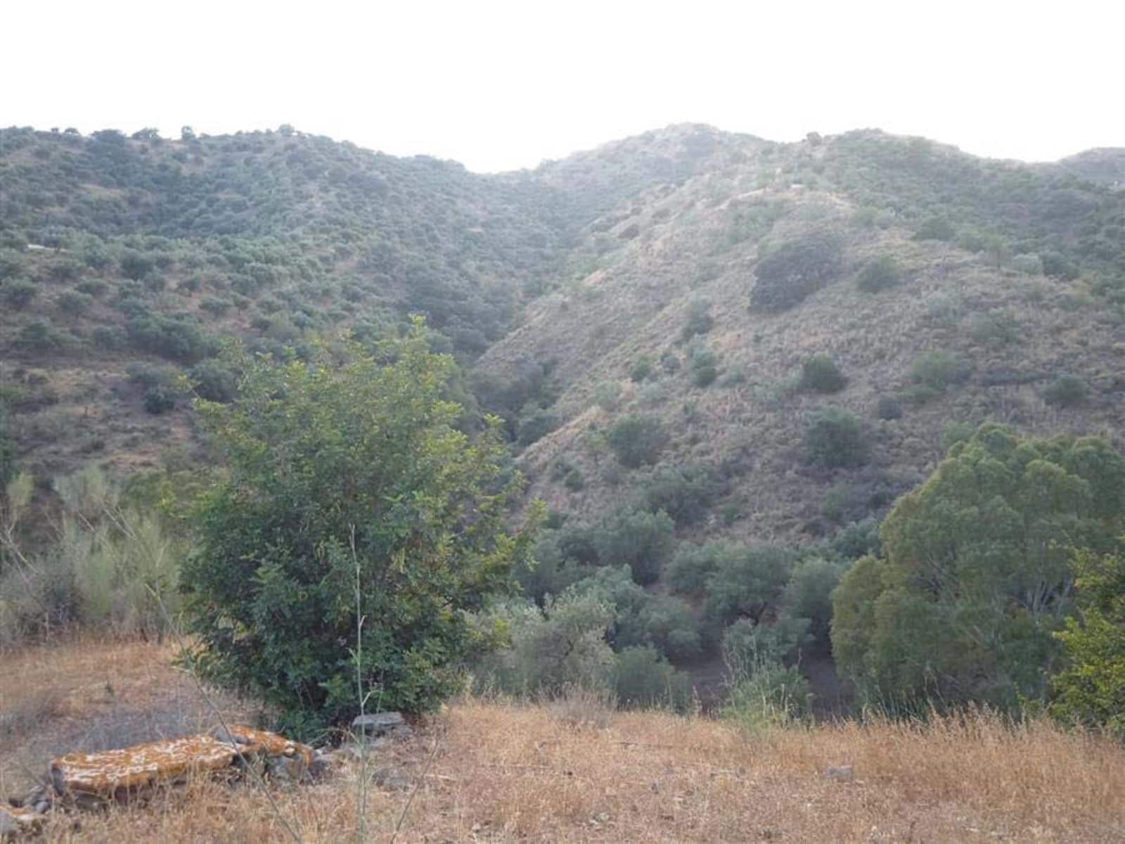 Mark till salu i Malaga stad - 850 000 € (Ref: 10097714)