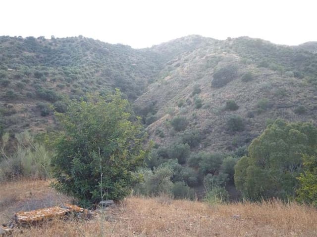 Mark till salu i Málaga stad - 850 000 € (Ref: 10097714)