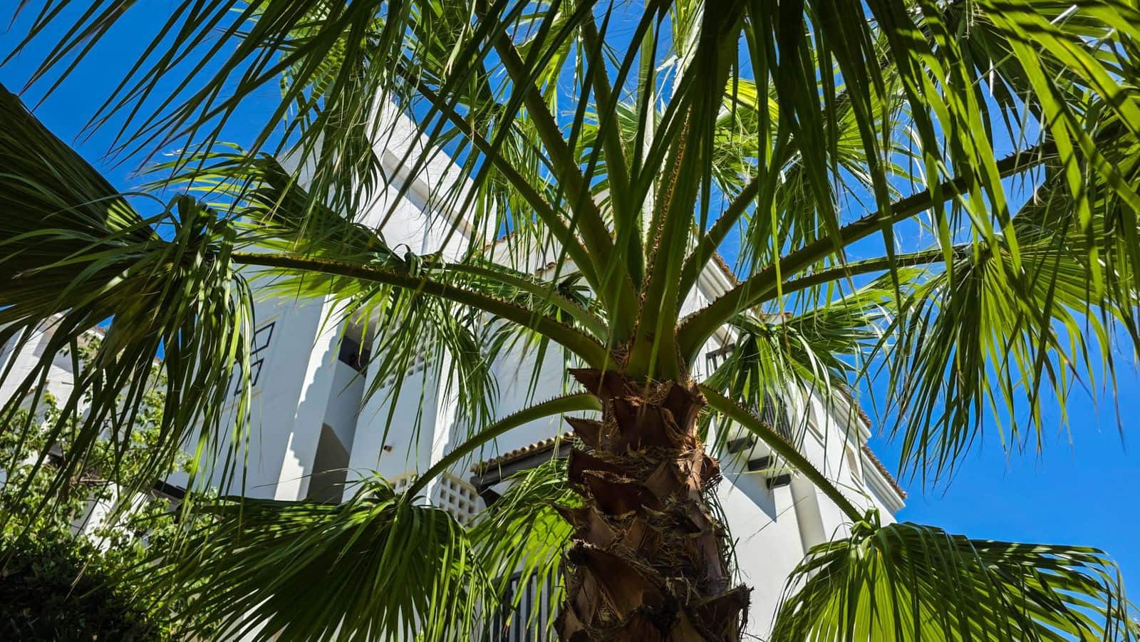 2 slaapkamer Penthouse te koop in San Luis de Sabinillas - € 335.000 (Ref: 10097764)