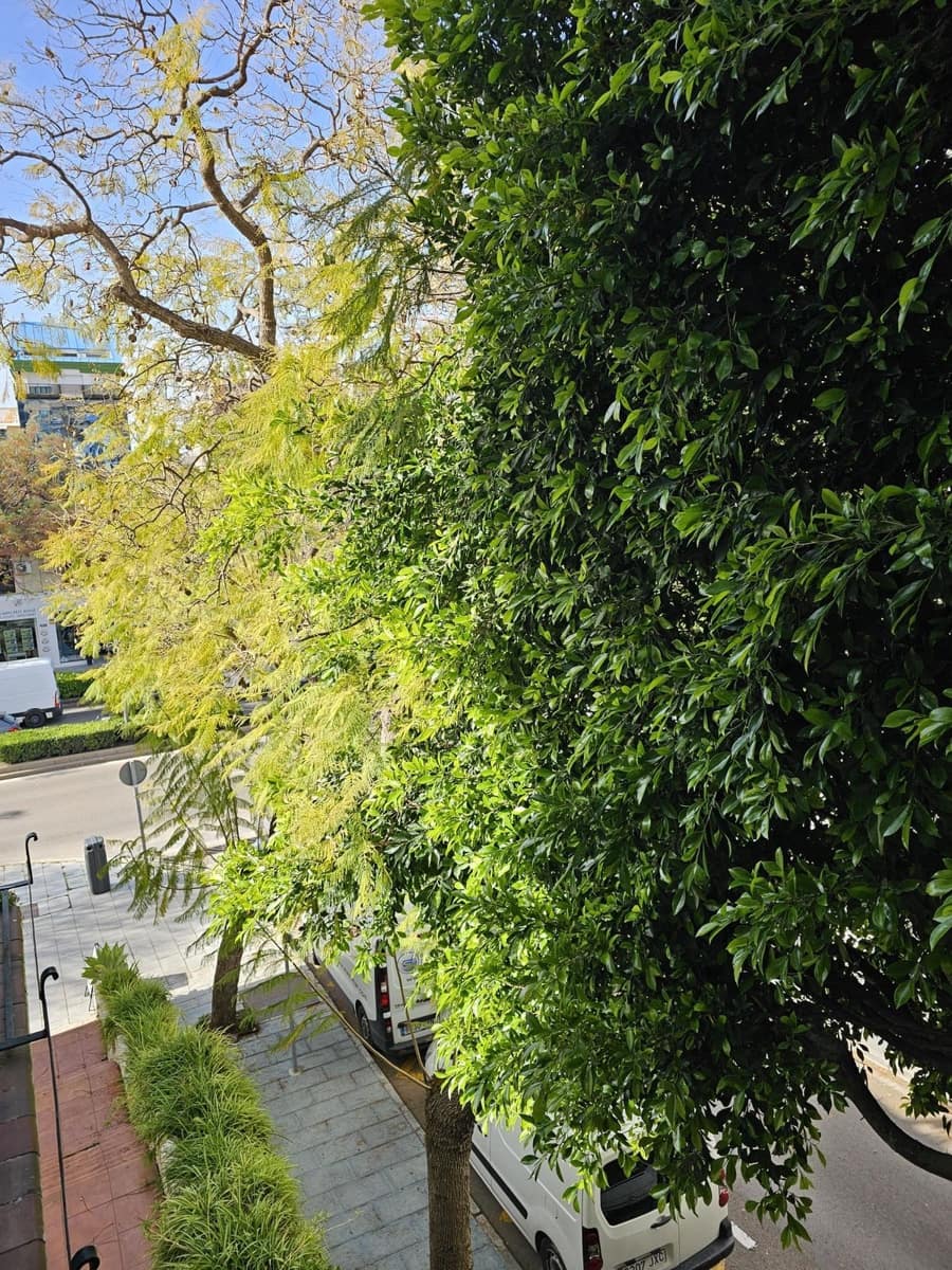 2 soveværelse Lejlighed til salg i Marbella - € 390.000 (Ref: 10097815)
