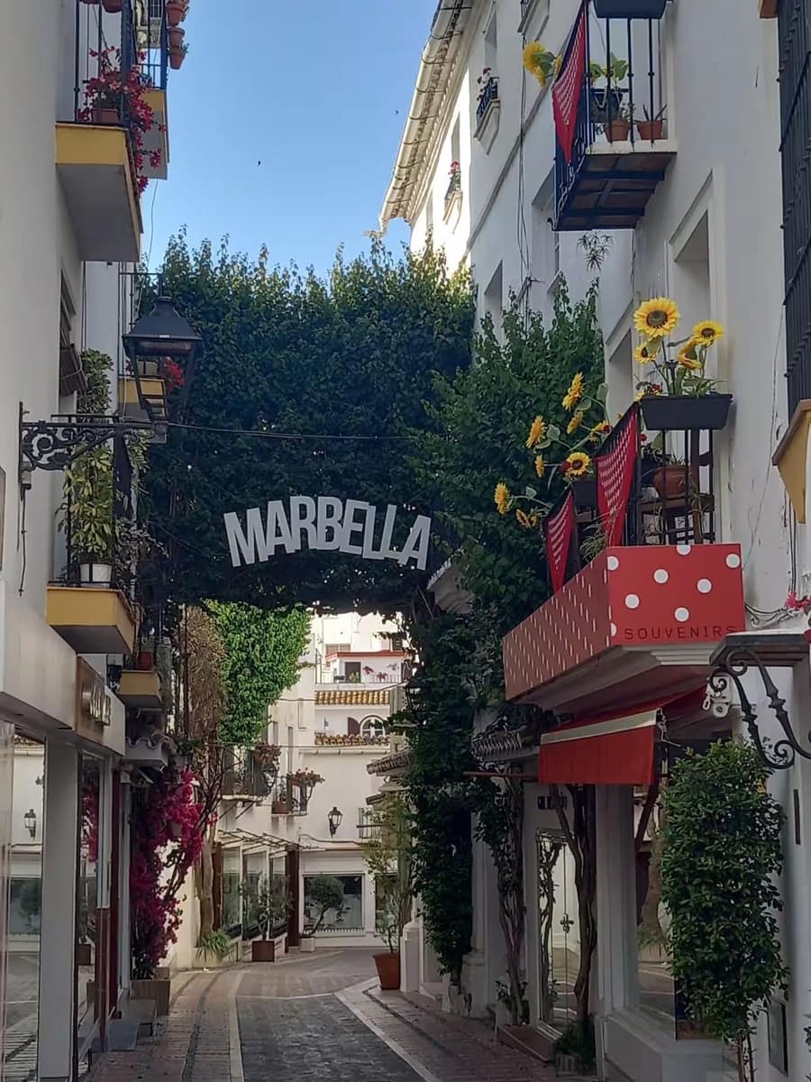 Gewerbe zu verkaufen in Marbella - 1.500.000 € (Ref: 10097900)