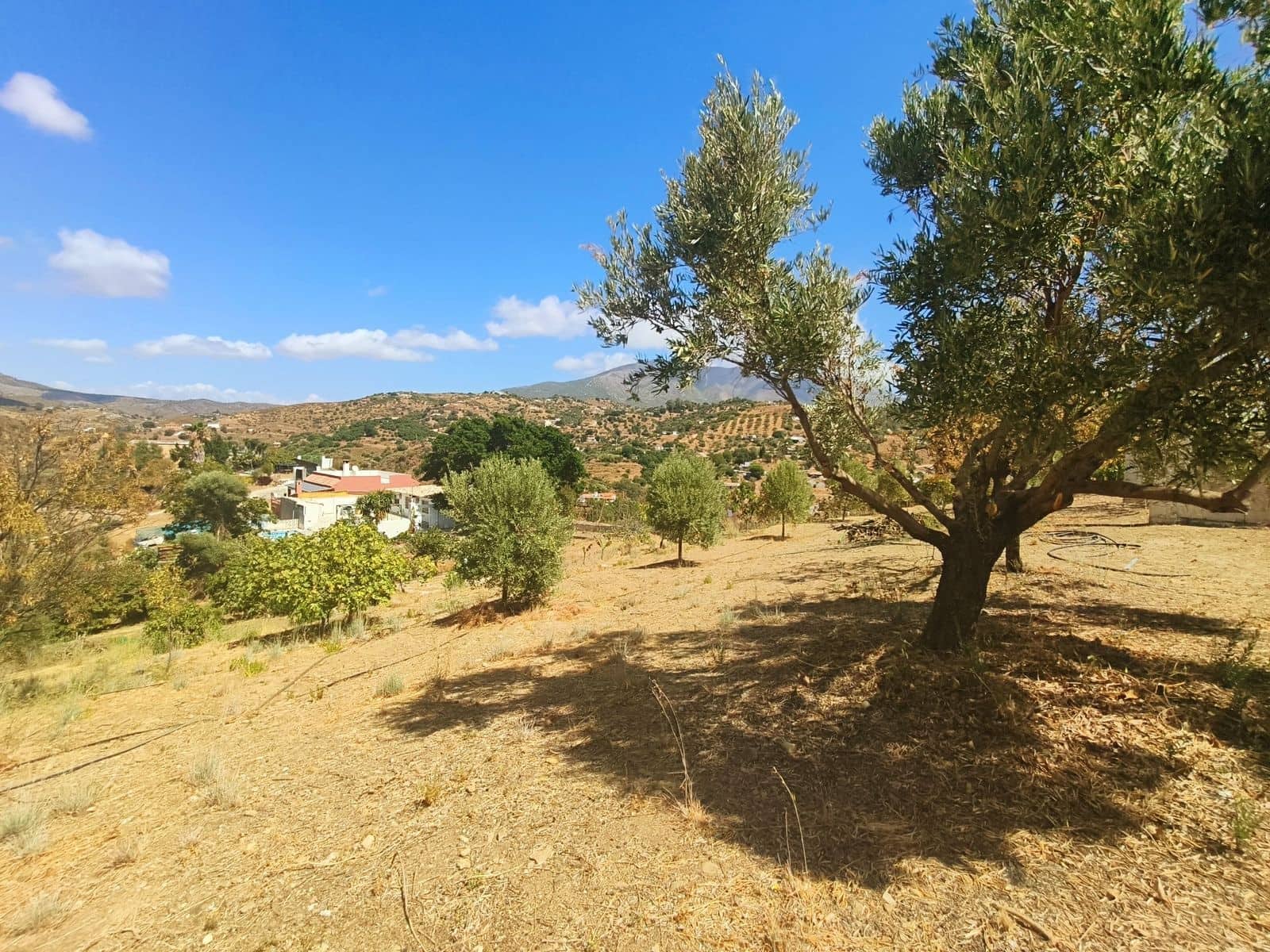Finca/Casa Rural de 2 habitaciones en Entrerrios en venta - 455.000 € (Ref: 10097911)