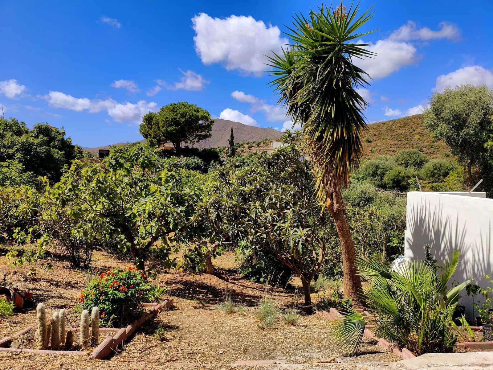 Finca/Casa Rural de 2 habitaciones en Entrerrios en venta - 455.000 € (Ref: 10097911)