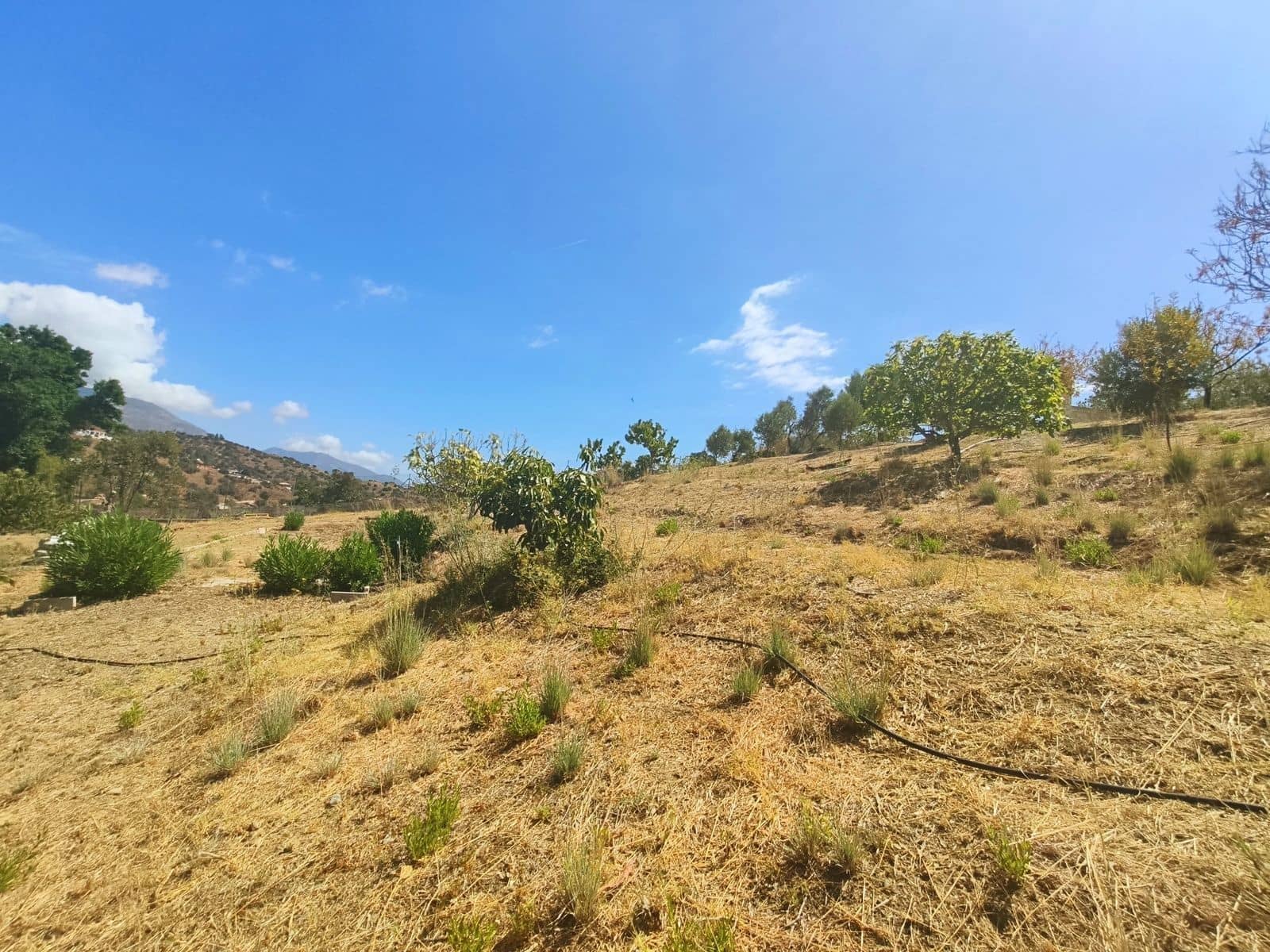 Finca/Casa Rural de 2 habitaciones en Entrerrios en venta - 455.000 € (Ref: 10097911)