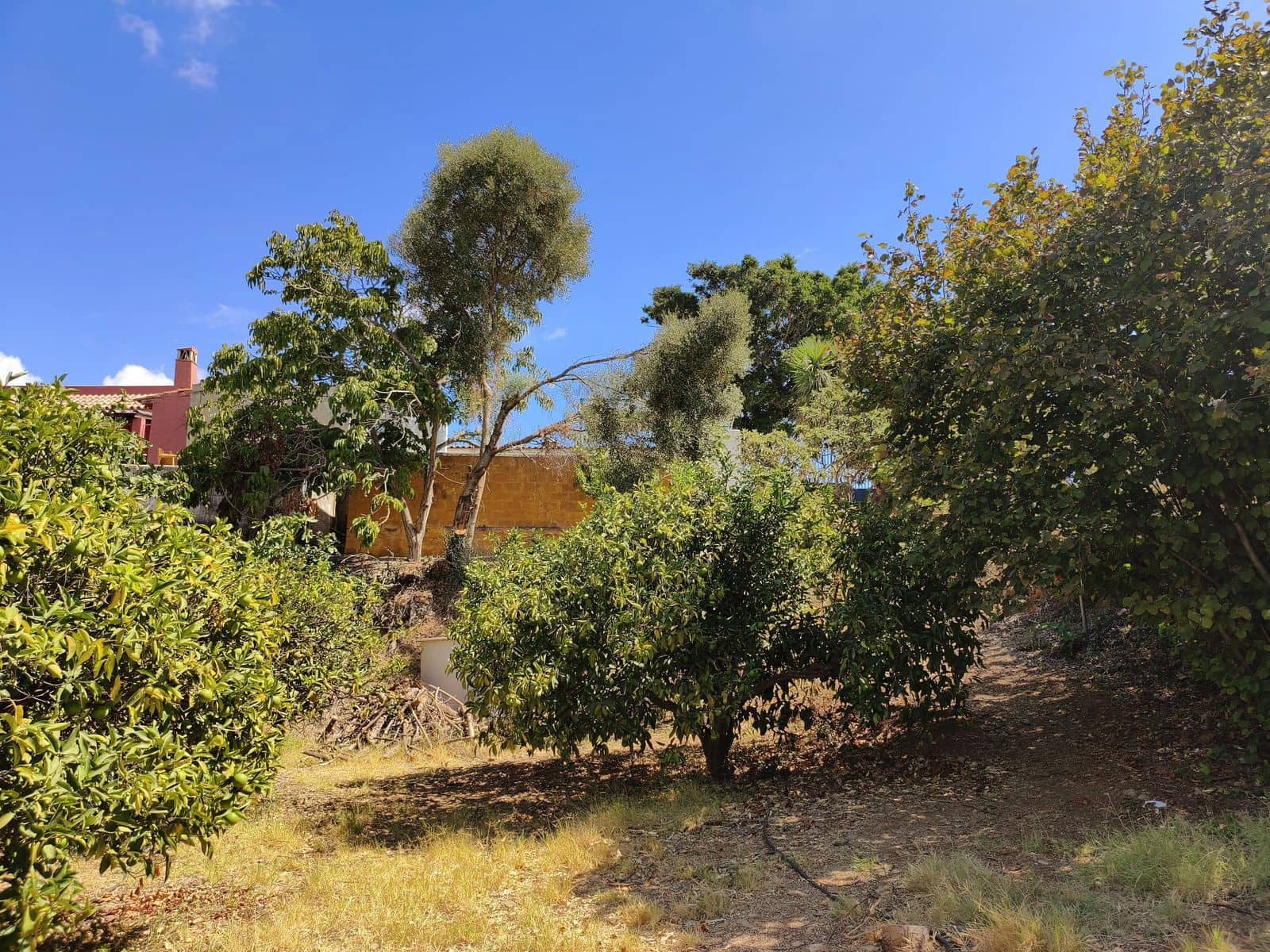 Finca/Casa Rural de 2 habitaciones en Entrerrios en venta - 455.000 € (Ref: 10097911)