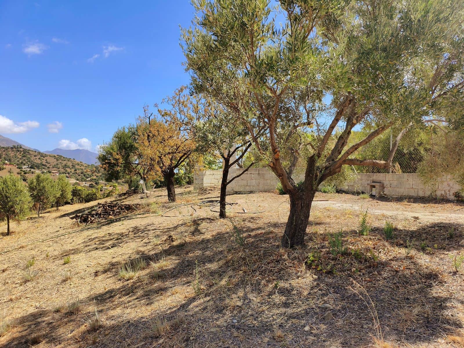 Finca/Casa Rural de 2 habitaciones en Entrerrios en venta - 455.000 € (Ref: 10097911)