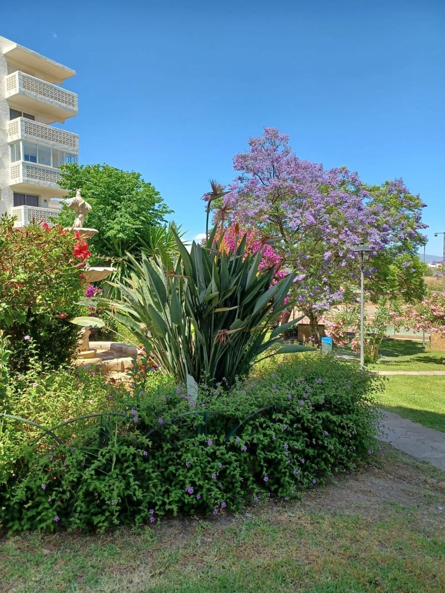 2 sypialnia Penthouse na sprzedaż w Estepona - 295 000 € (Ref: 10153402)