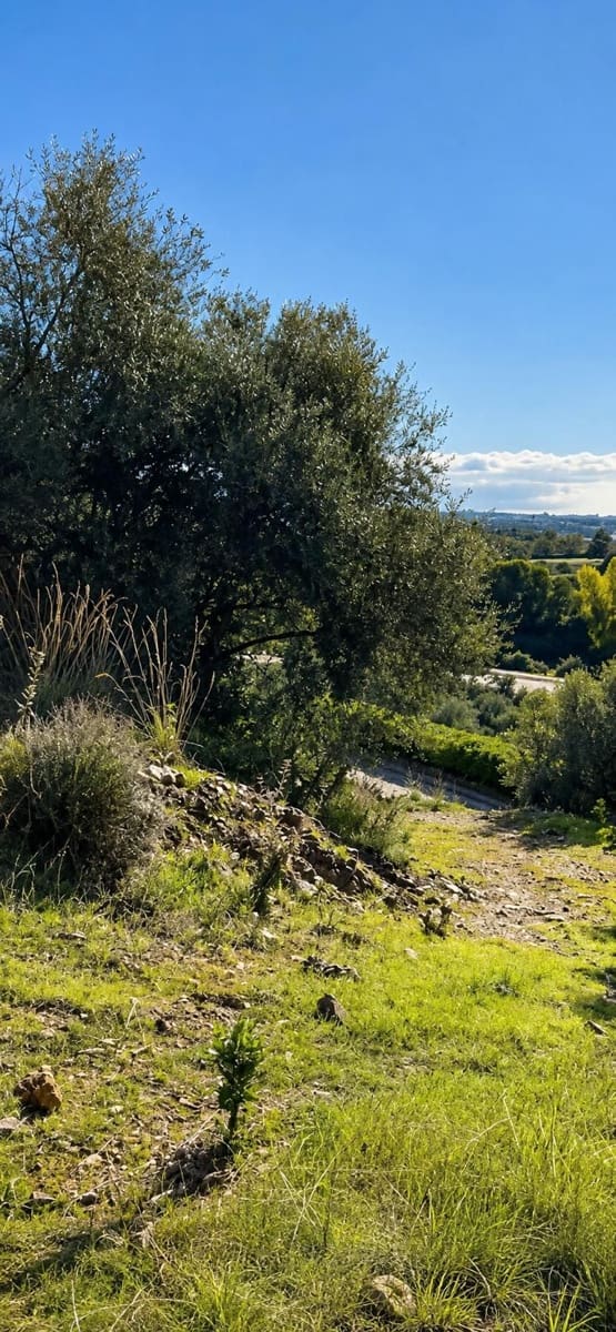 Działka budowlana na sprzedaż w Los Monteros - 1 950 000 € (Ref: 10153458)