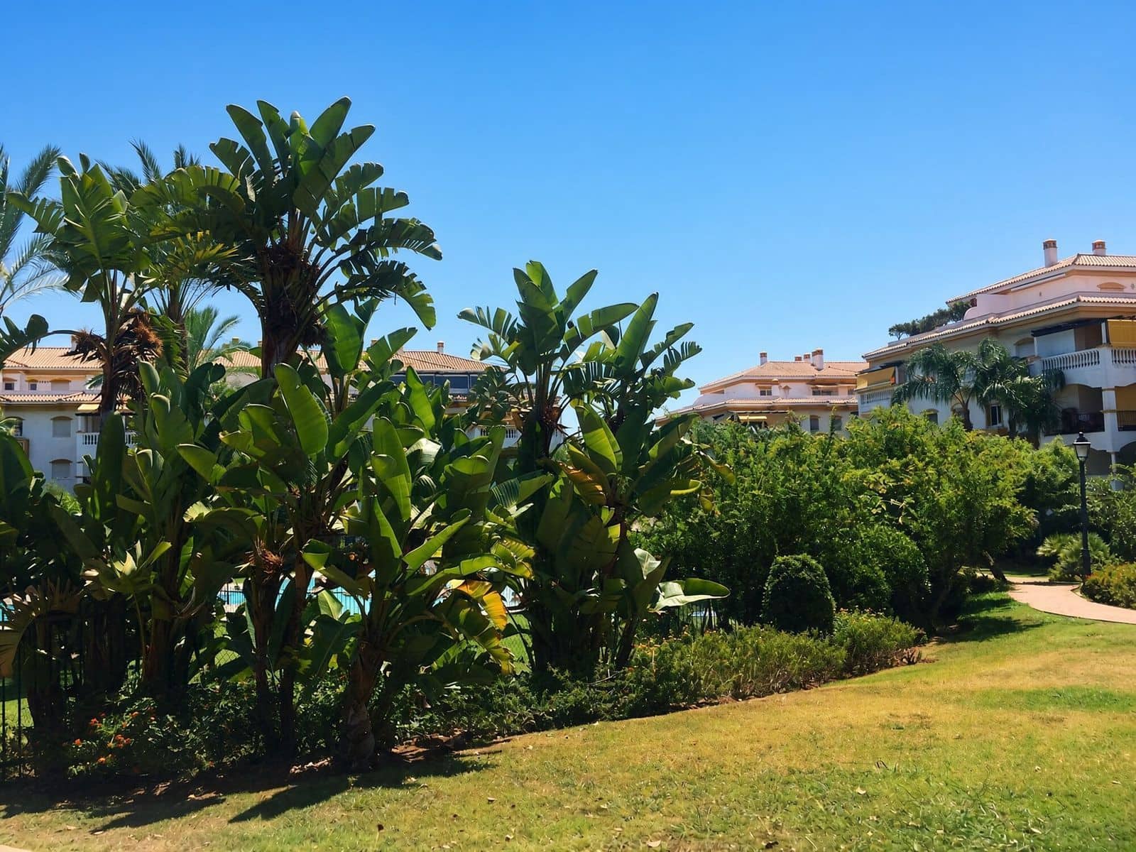 2 chambre Penthouse à vendre à Nueva Andalucia avec piscine garage - 520 000 € (Ref: 10153616)