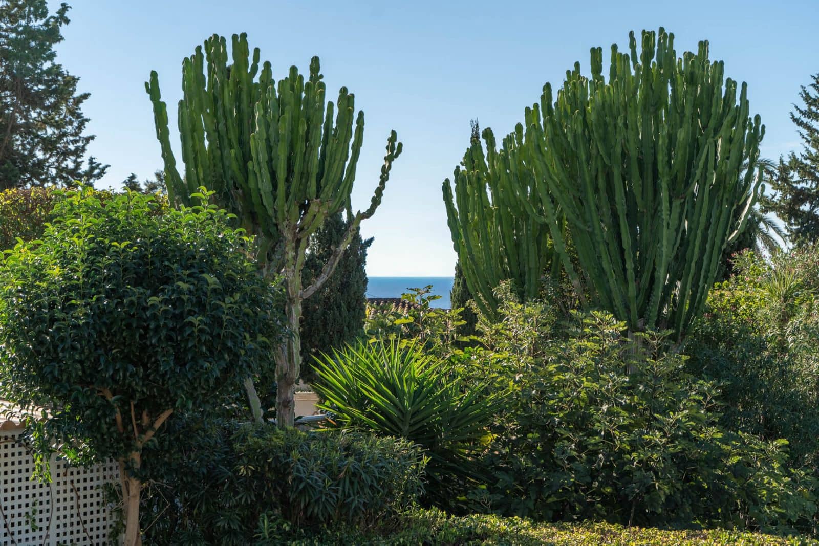 6 bedroom Villa for sale in El Rosario - € 2,595,000 (Ref: 9431371)