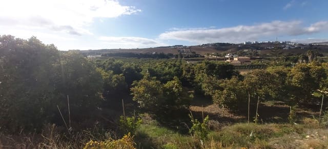 Undeveloped Land for sale in Casares - € 800,000 (Ref: 9431387)