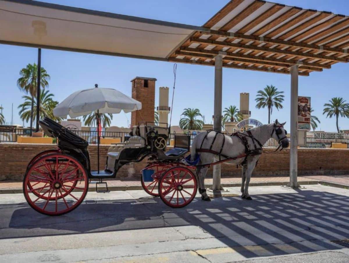 3 sypialnia Dom blizniak na sprzedaż w Calahonda - 452 000 € (Ref: 9439815)