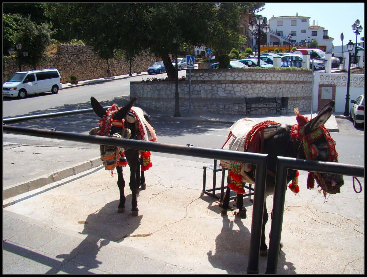 3 sypialnia Dom blizniak na sprzedaż w Calahonda - 452 000 € (Ref: 9439815)