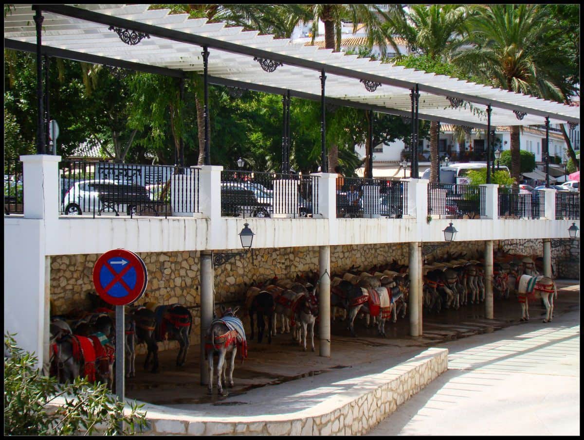 3 sypialnia Dom blizniak na sprzedaż w Calahonda - 452 000 € (Ref: 9439815)