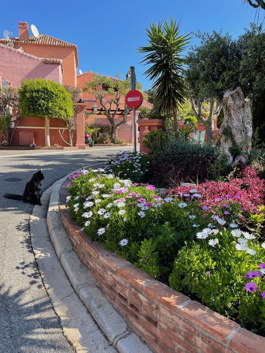 2 sovrum Takvåning till salu i Benahavis - 680 000 € (Ref: 9455994)