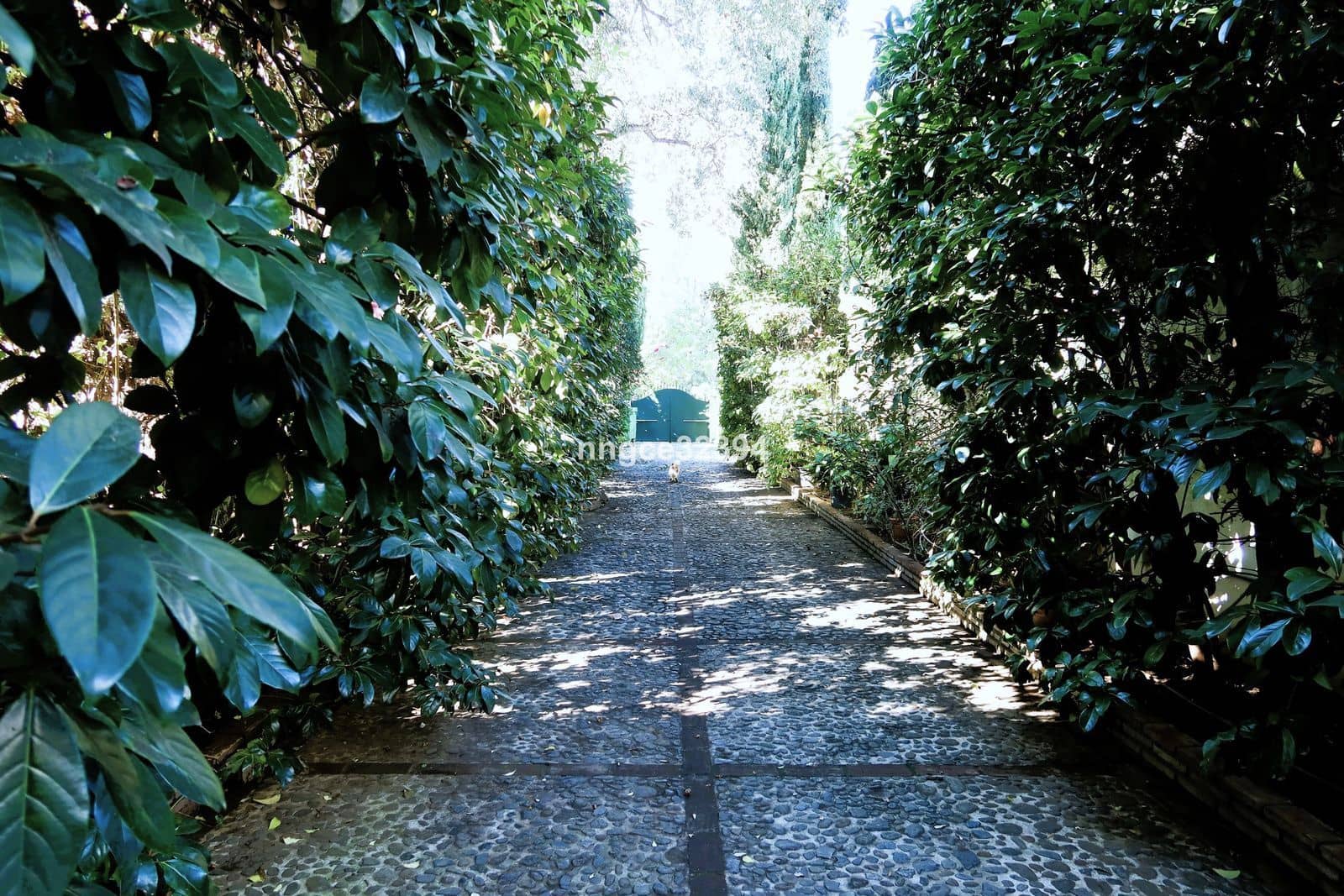 3 sovrum Villa till salu i Sotogrande - 1 850 000 € (Ref: 9456017)