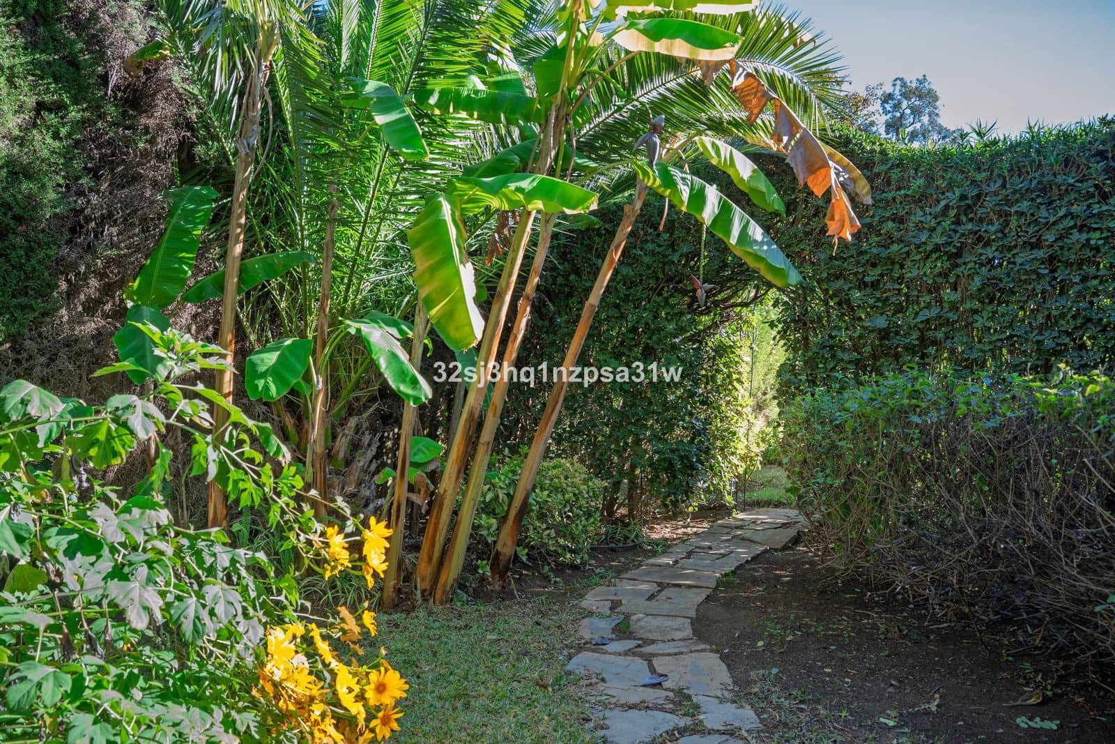 3 chambre Villa/Maison à vendre à Guadalmina - 2 599 000 € (Ref: 9456020)