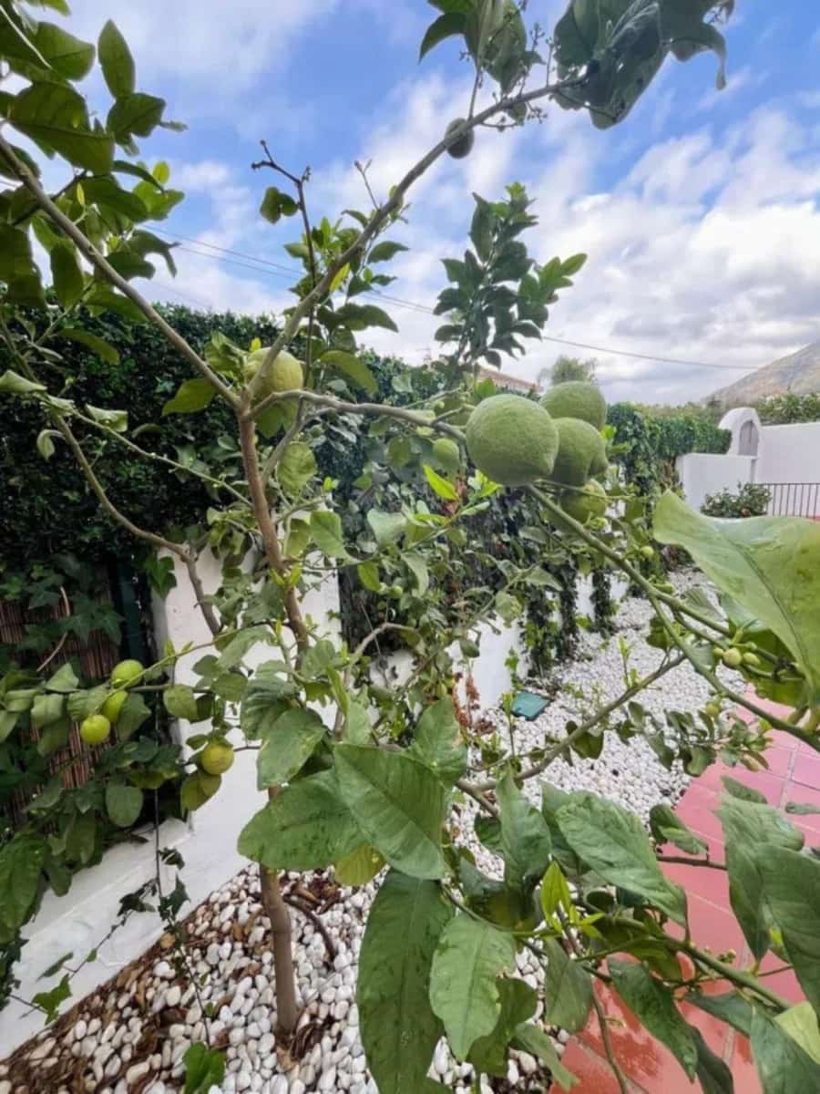 3 bedroom Villa for sale in Marbella - € 1,680,000 (Ref: 9456025)