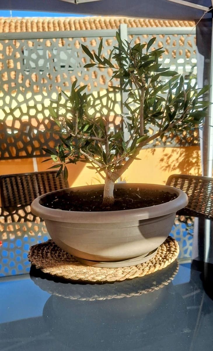 3 bedroom Apartment for sale in Marbella - € 429,900 (Ref: 9456051)