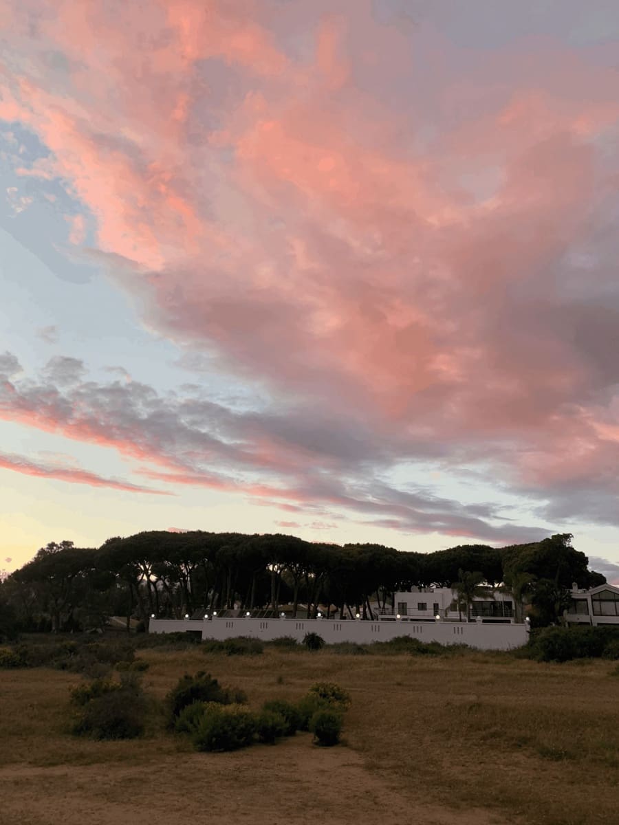 8 sovrum Villa till salu i Artola - 4 750 000 € (Ref: 9497338)