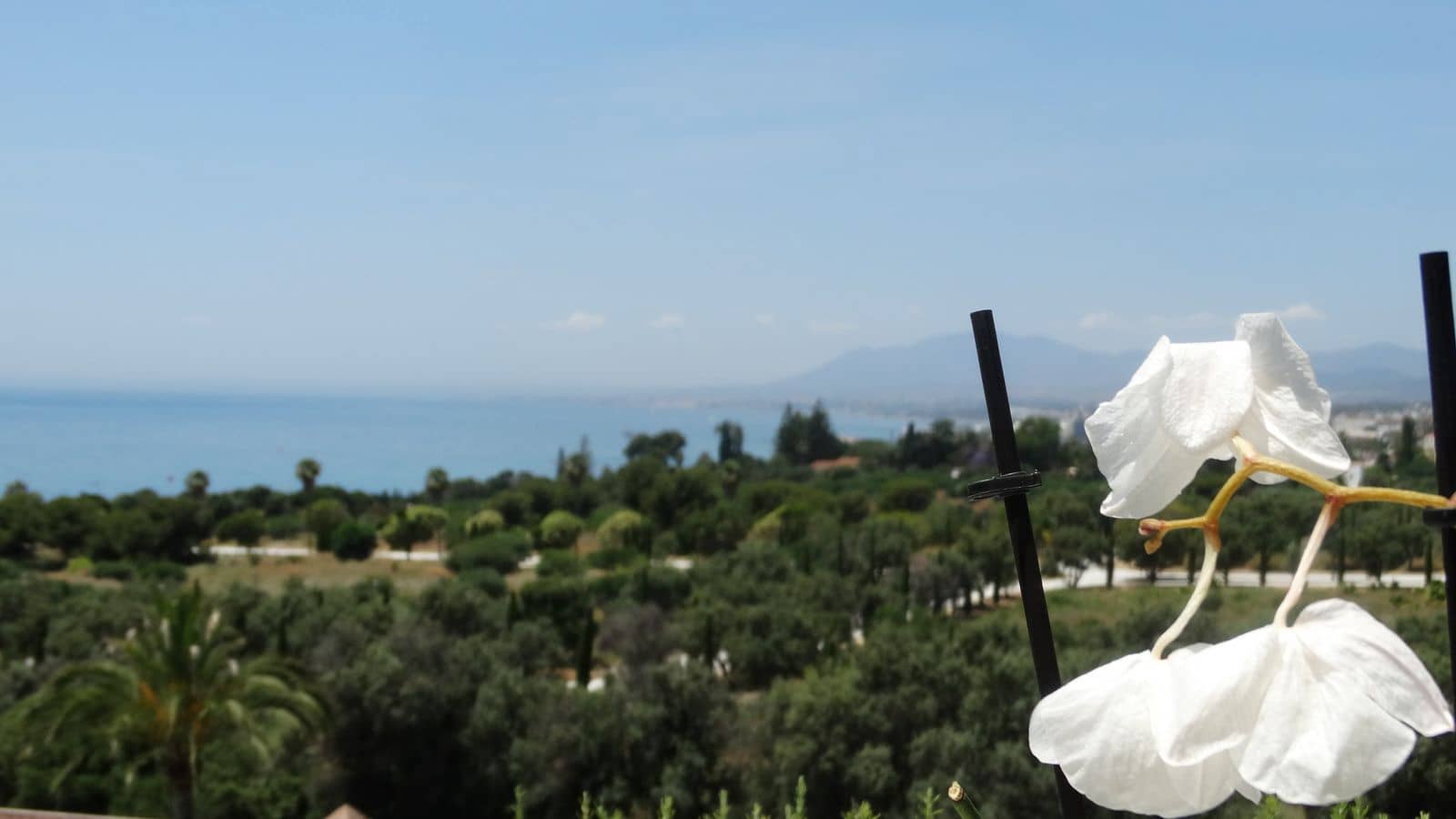 3 bedroom Penthouse for sale in Rio Real - € 1,100,000 (Ref: 9497392)