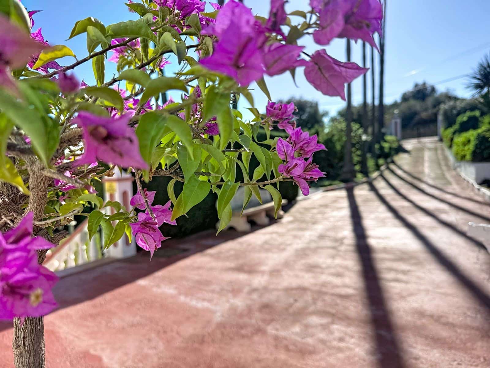 Finca/Casa Rural de 3 habitaciones en Estepona en venta - 825.000 € (Ref: 9497418)