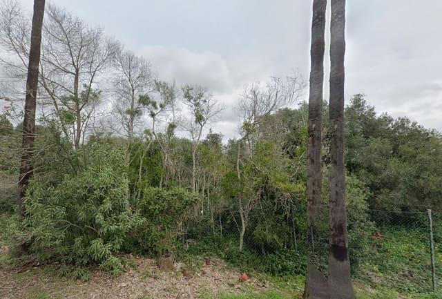 Tomt till salu i Sotogrande, San Roque - 2 595 000 € (Ref: 9497429)