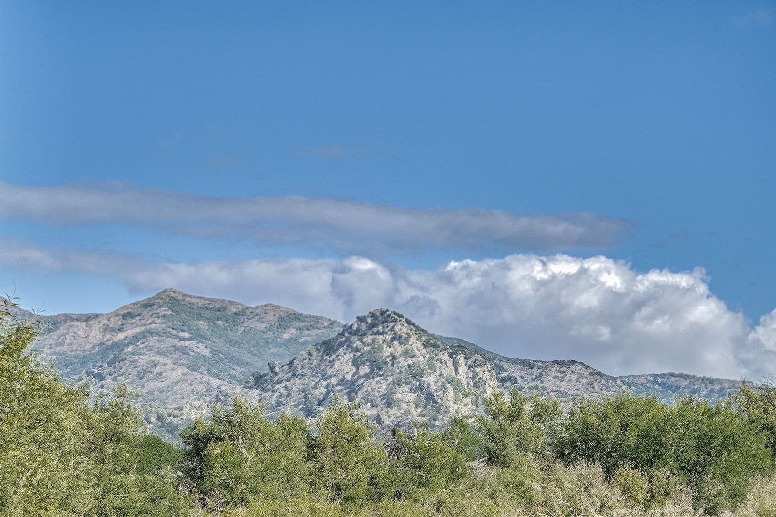 2 bedroom Apartment for sale in New Golden Mile - € 450,000 (Ref: 9497436)