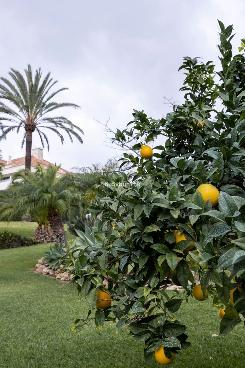 3 soverom Penthouse til salgs i Los Monteros - € 800 000 (Ref: 9502027)