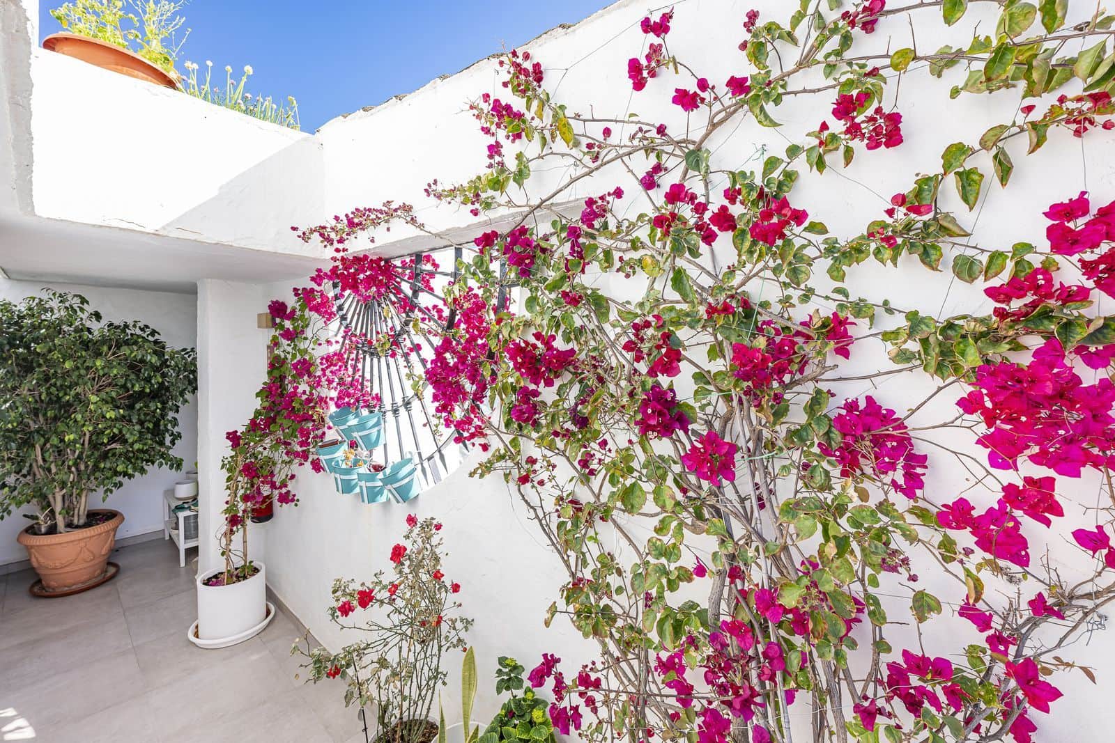 2 soverom Penthouse til salgs i Golden Mile - € 1 795 000 (Ref: 9504064)