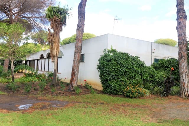 Empresa para venda em Saladillo-Benamara, Estepona - 1 175 000 € (Ref: 9504065)