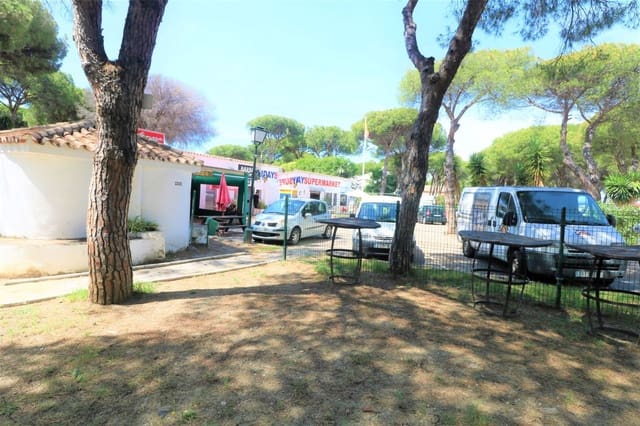 Empresa para venda em Saladillo-Benamara, Estepona - 1 175 000 € (Ref: 9504065)