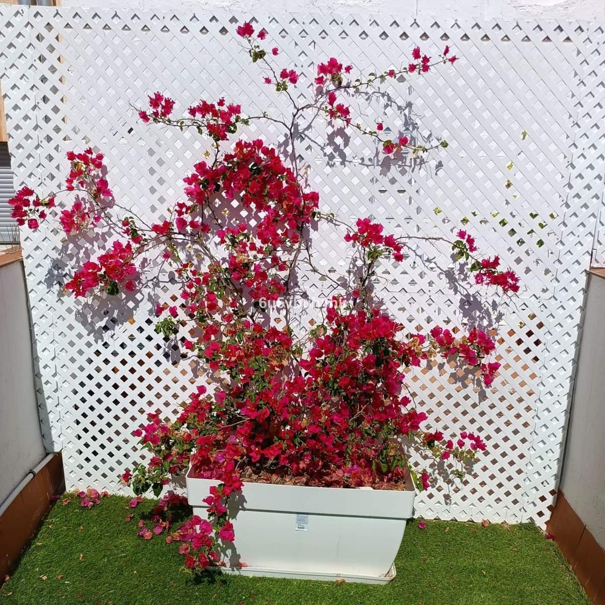 11 soveværelse Byhus til salg i Malaga by - € 3.500.000 (Ref: 9512123)