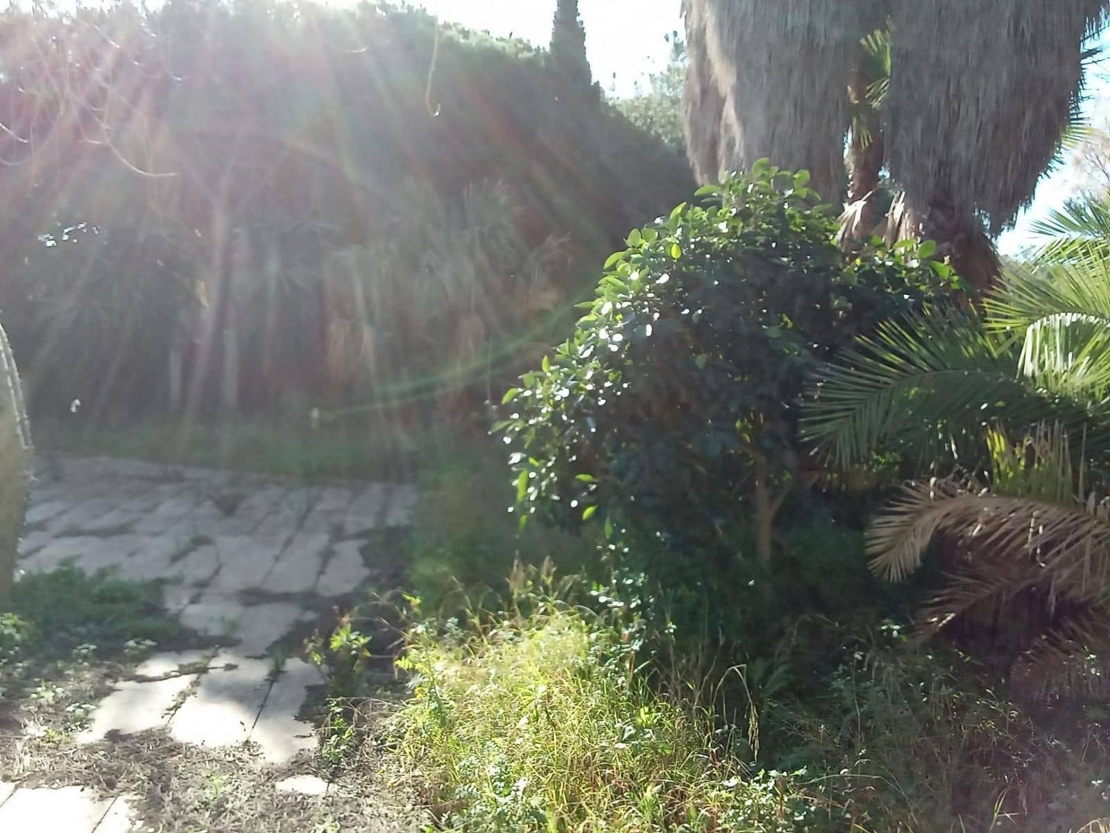 Byggegrund til salg i Las Chapas - € 1.600.000 (Ref: 9512149)