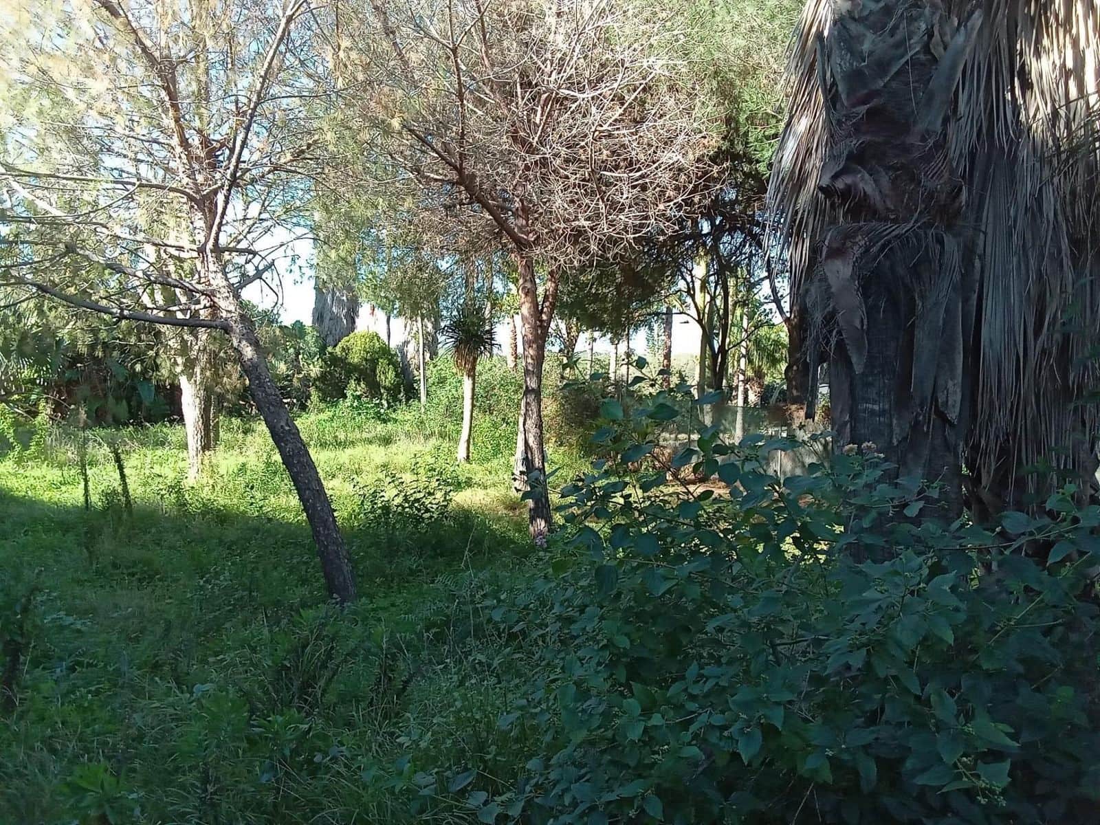 Byggegrund til salg i Las Chapas - € 1.600.000 (Ref: 9512149)