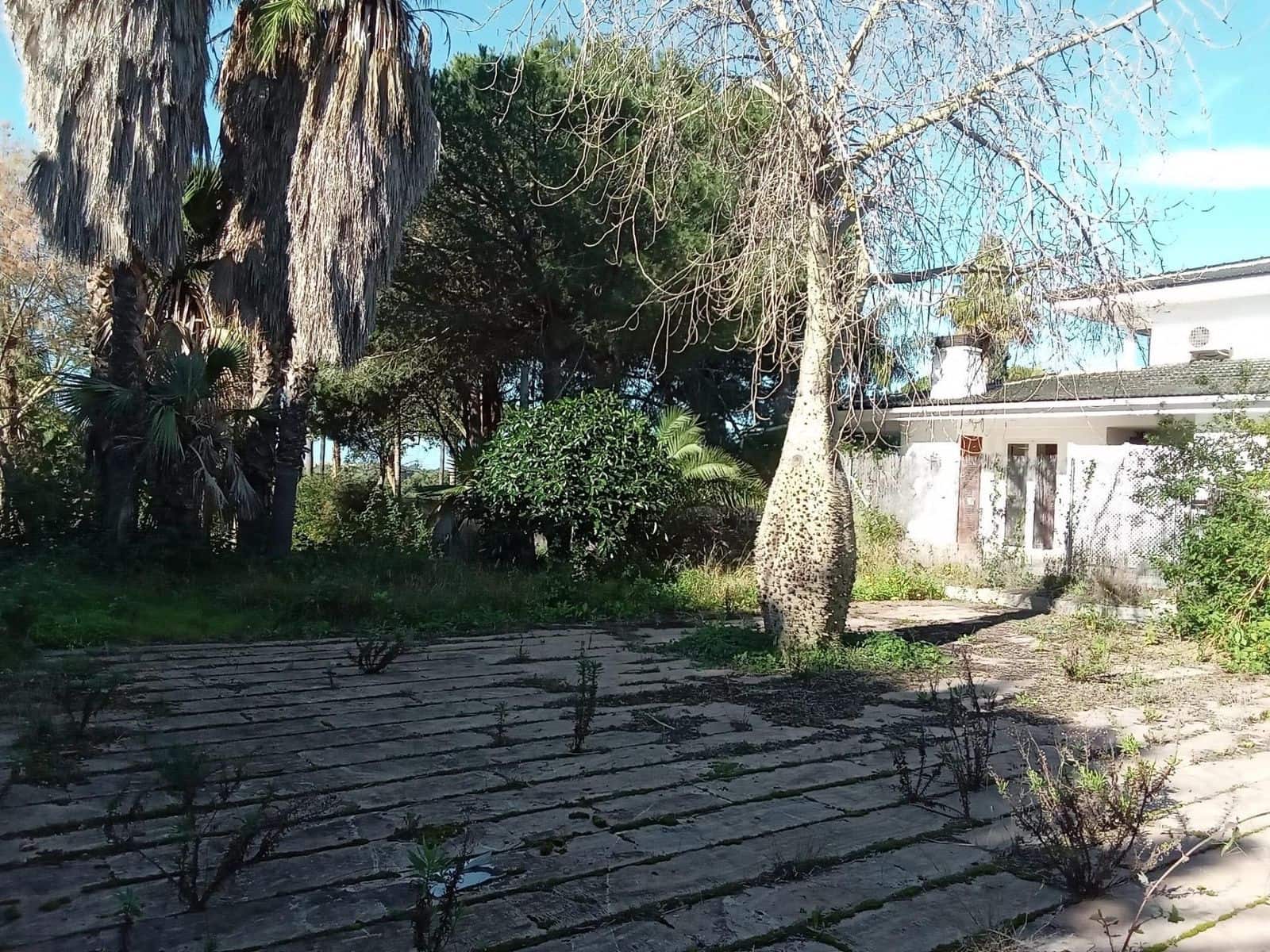 Byggegrund til salg i Las Chapas - € 1.600.000 (Ref: 9512149)