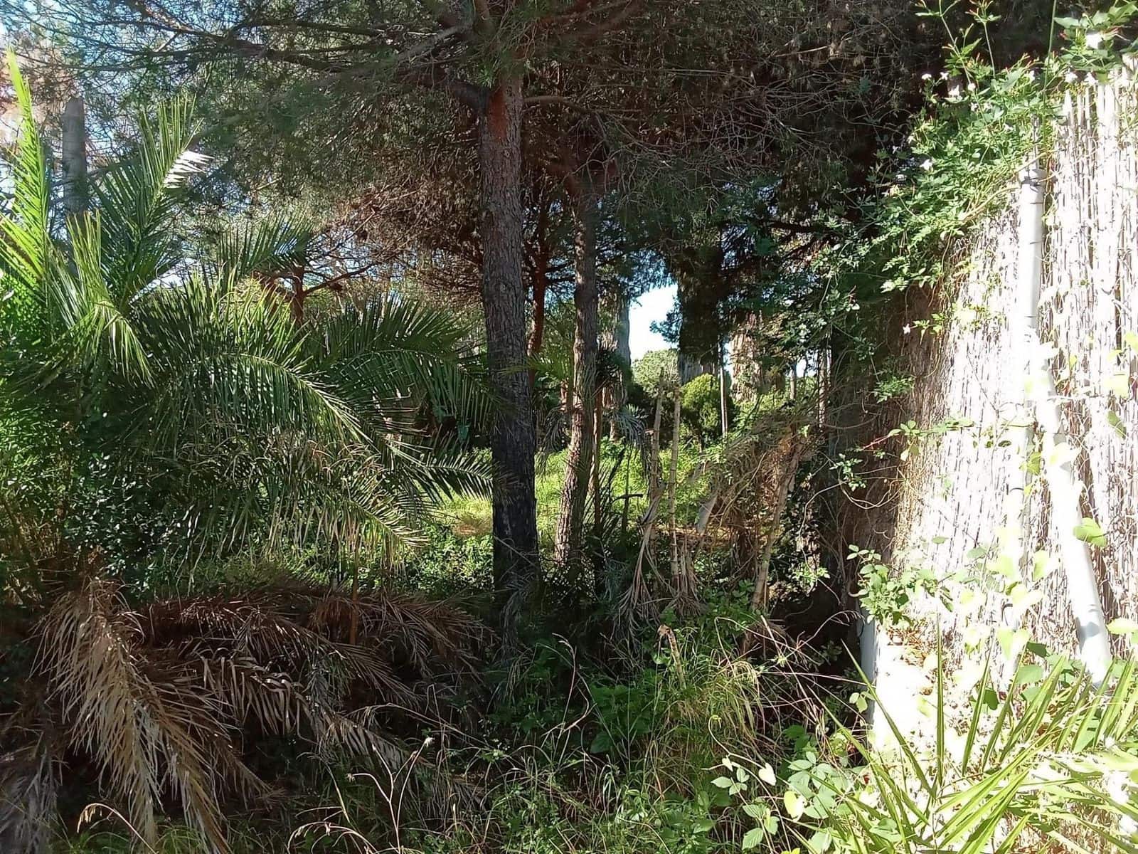 Byggegrund til salg i Las Chapas - € 1.600.000 (Ref: 9512149)