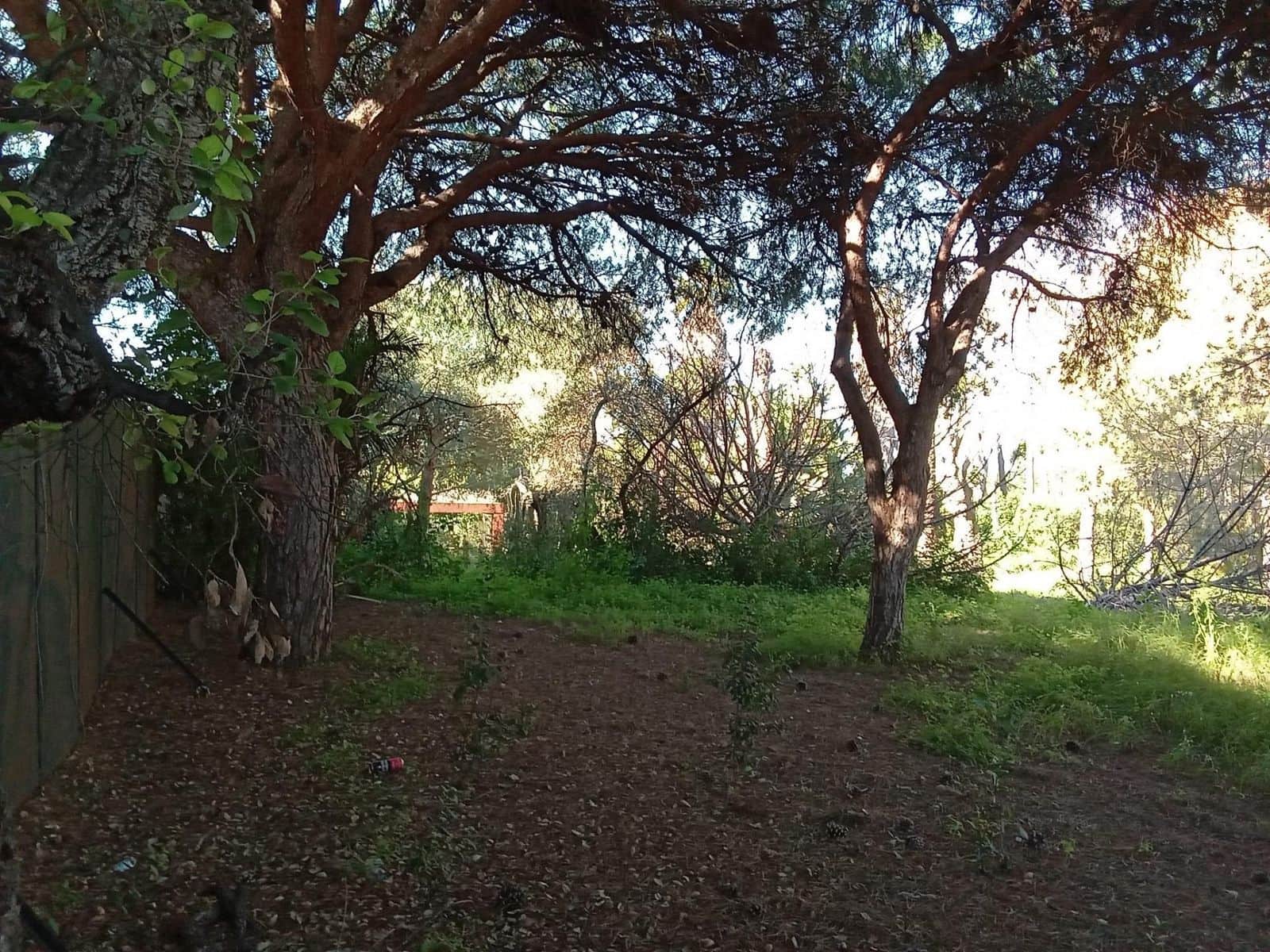 Byggegrund til salg i Las Chapas - € 1.600.000 (Ref: 9512149)