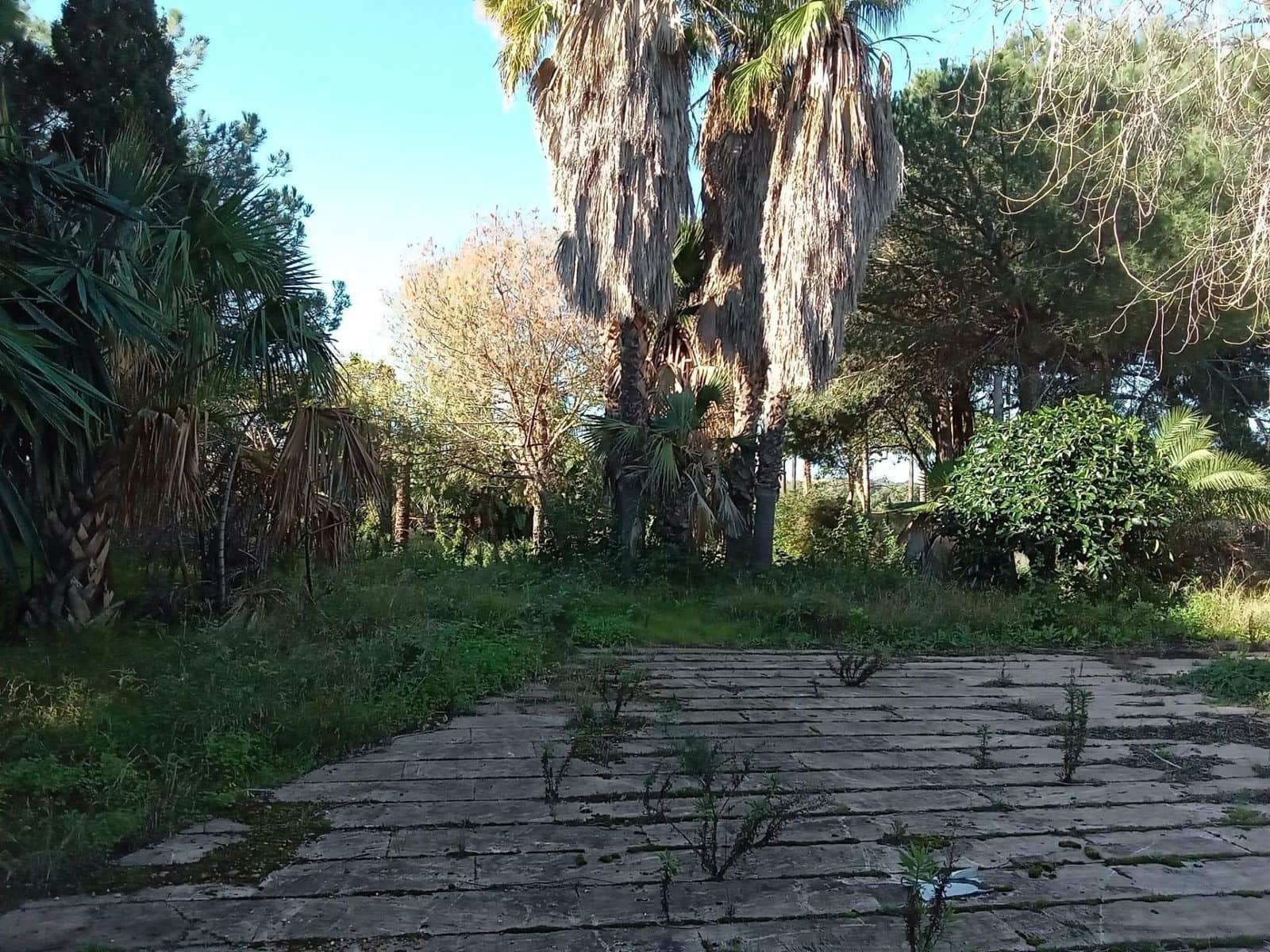 Byggegrund til salg i Las Chapas - € 1.600.000 (Ref: 9512149)