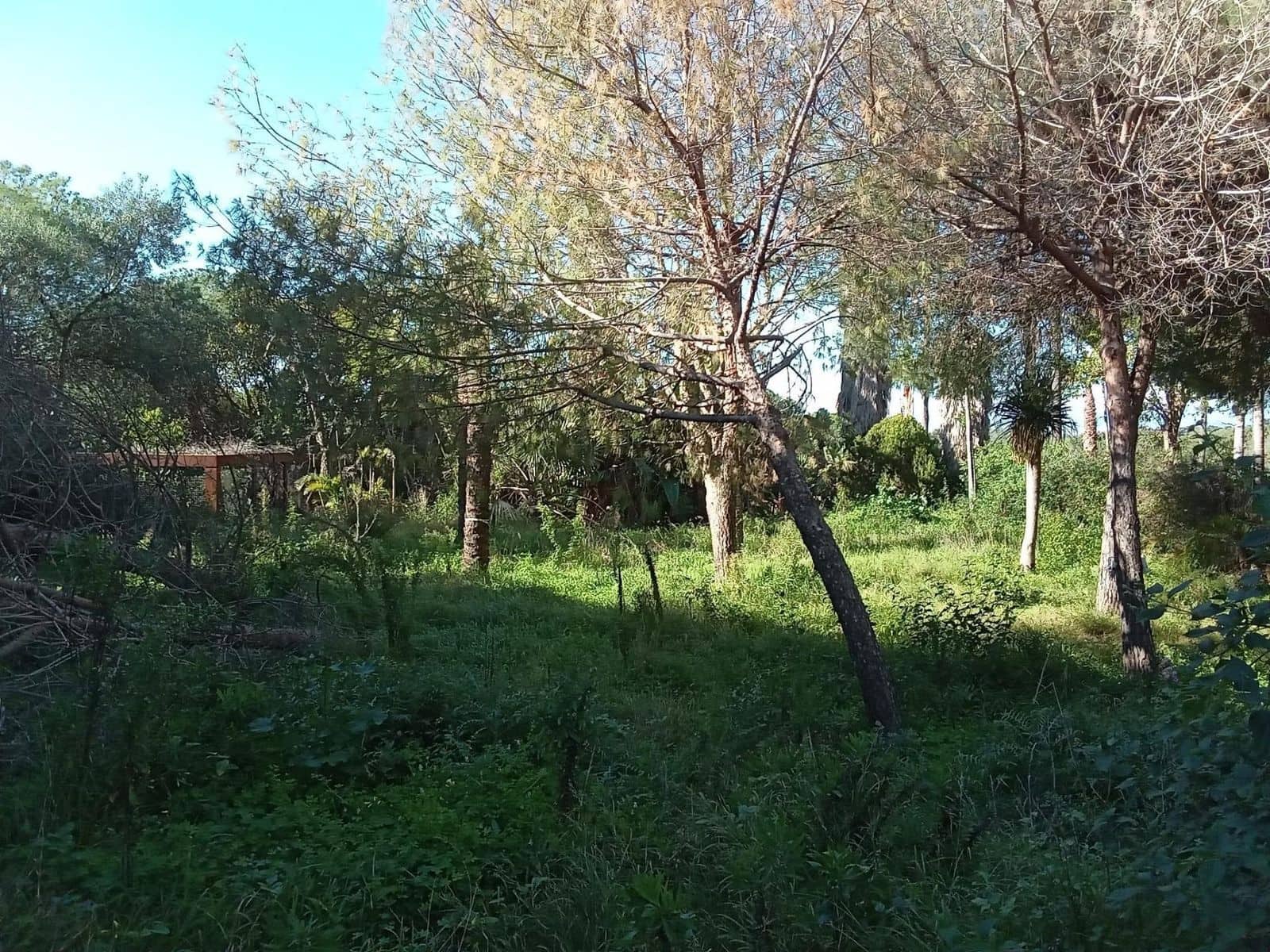 Byggegrund til salg i Las Chapas - € 1.600.000 (Ref: 9512149)