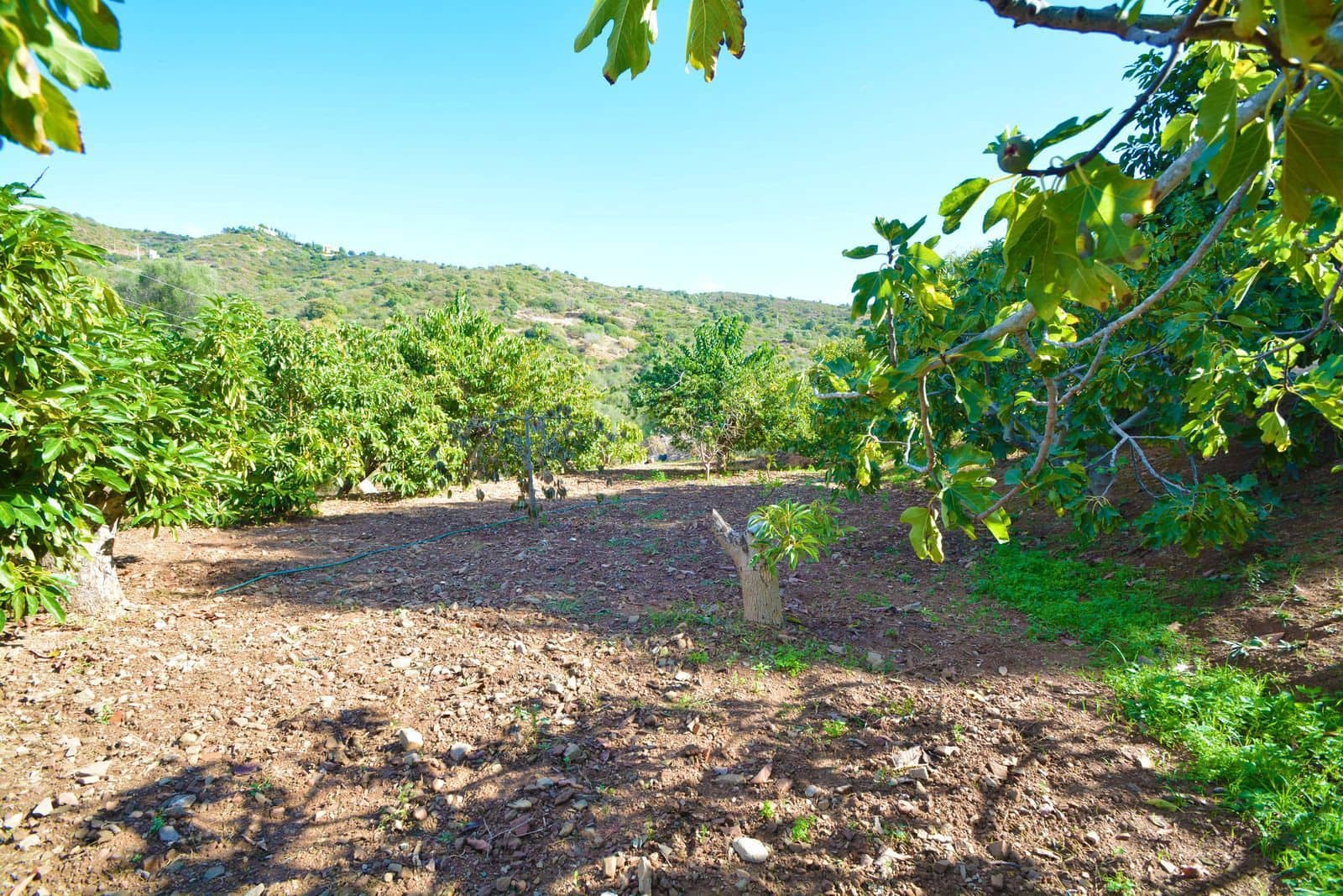 2 bedroom Finca/Country House for sale in Marbella - € 410,000 (Ref: 9527274)