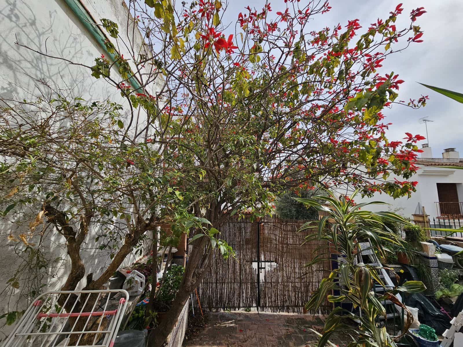 5 camera da letto Villetta Bifamiliare in vendita in Estepona - 425.000 € (Rif: 9551138)