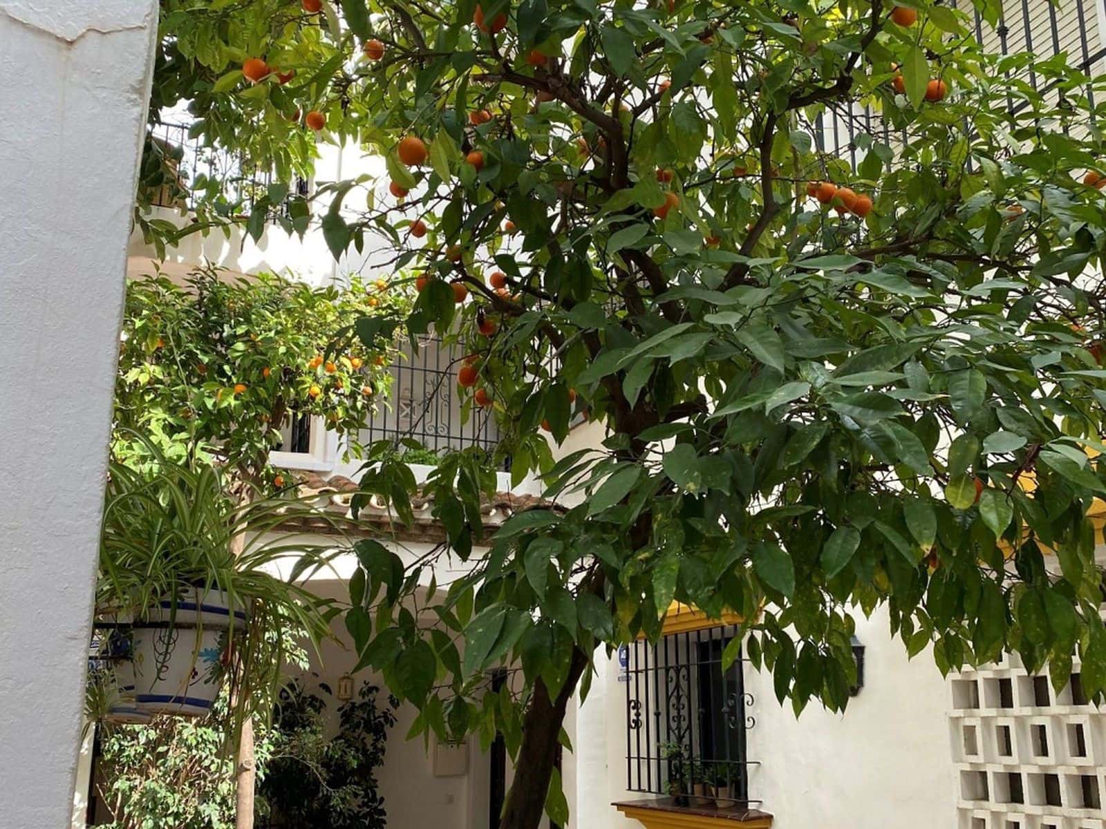 2 slaapkamer Appartement te koop in Benahavis - € 395.000 (Ref: 9551153)